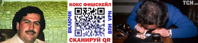 COCAIN Fish Scale  Малая Вишера 