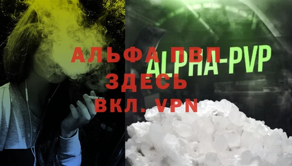 прущие крисы Белокуриха