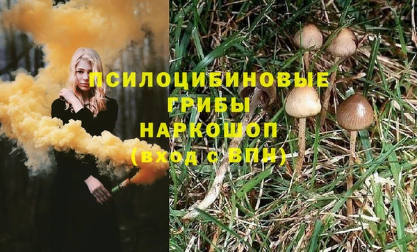 прущие крисы Белокуриха
