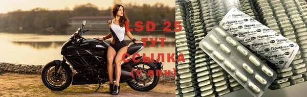 прущие крисы Белокуриха