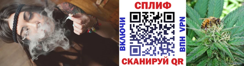 Канабис гибрид  Малая Вишера 